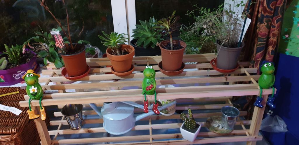 Frogs on the edge of the wooden shelf holding plants
